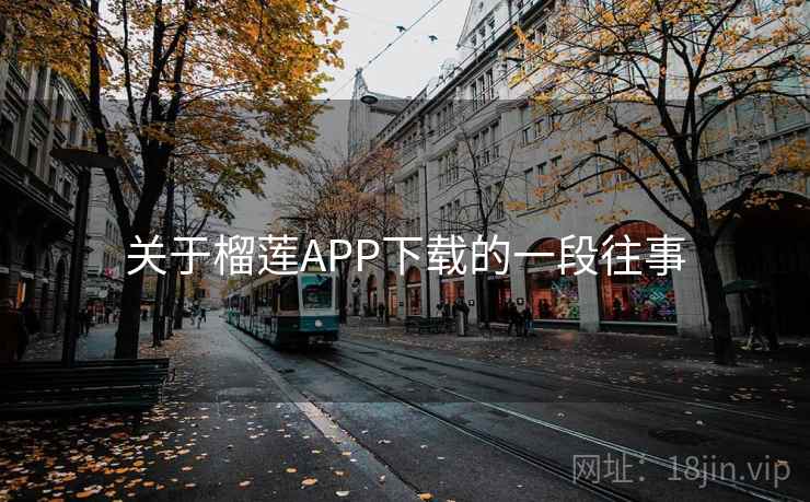 关于榴莲APP下载的一段往事 第2张 关于榴莲APP下载的一段往事 第2张